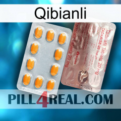 Qibianli new13